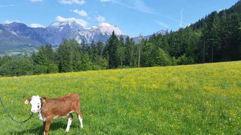 Appartements Hochoedlehen Schönau am Königssee Exteriér fotografie